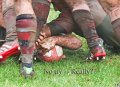 Monaghan 1st XV Vs Belfast Harlequins 04-02-2012 (36)